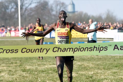 Odds on Cheptegei to win the toughest race ever