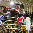 National team boxers out to save face as boxing league returns