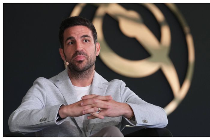 Cesc Fabregas slams Southgate