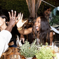 'There is so much value in coming together' - Fraser-Pryce shares powerful words on conclusion of Nike women retreat in Mexico