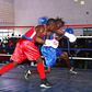 Boxing Federation of Kenya in line for major cash windfall
