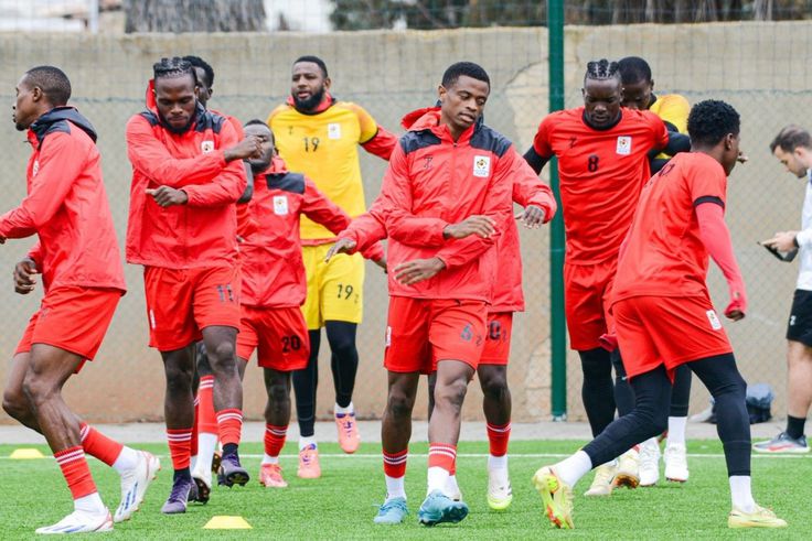 Uganda Cranes Set for Return After Months of Uncertainty