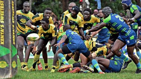 Kubu's flair downs KCB as Kabras ascend to top of Kenya Cup table