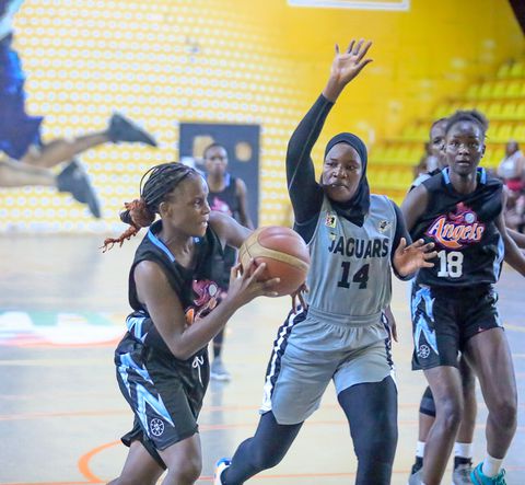 Lady Jaguars favourites for fifth straight win against Ravens in NBL