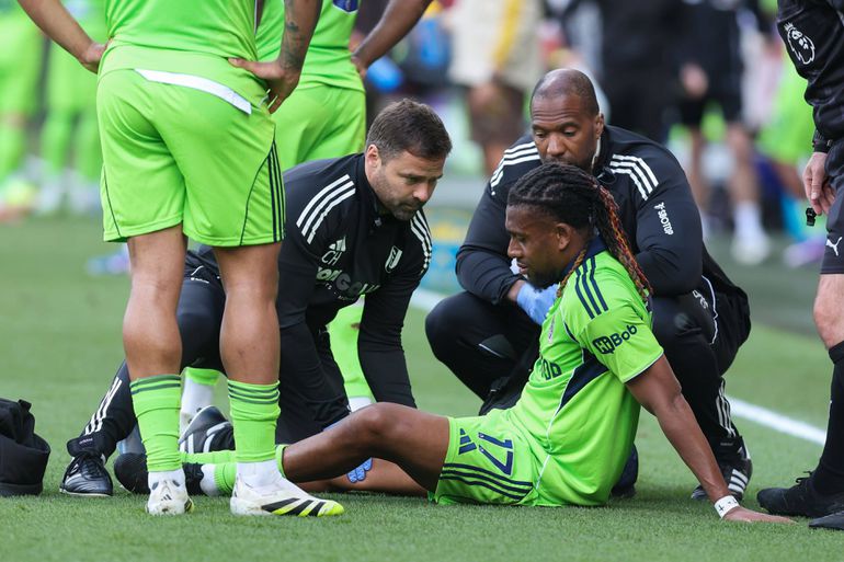 Alex Iwobi injured || Imago