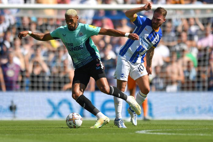 Brighton and Newcastle playing for European football