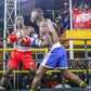 National team stars Nkobeza, Kibira shine in boxing league return