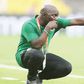Super Falcons will excel at Women's World Cup - Bankole Olowookere