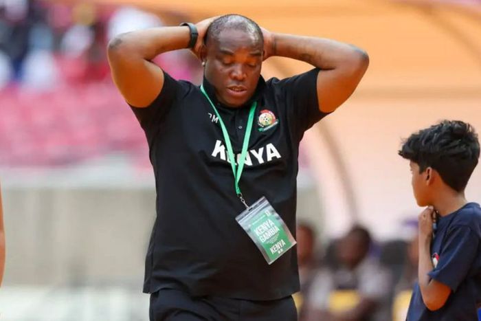 Harambee Stars. Benni McCarthy. Kenya vs Senegal