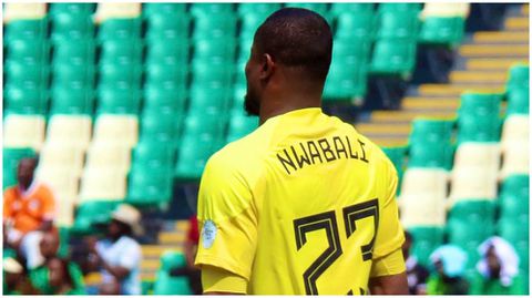 Don’t let their shout get to you - Ex-Super Eagles star urges Nwabali to ignore the praise