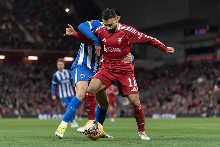 Brighton take on Liverpool in the Premier League