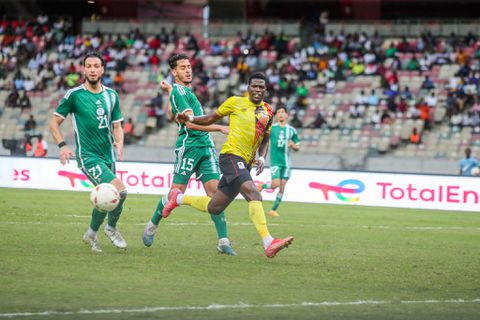 Micho: We deserved much more from Algeria match