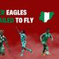 Super Eagles: 10 Nigerian Players Who Failed to Live Up to Expectations
