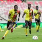 Cranes to play friendlies against Brazil, Argentina