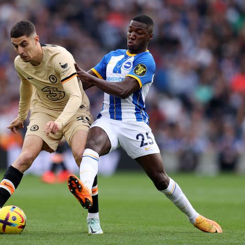 Moises Caicedo in action for Brighton