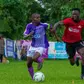 Purple Sharks dare fangless Vipers
