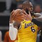 Dillon Brooks and LeBron James