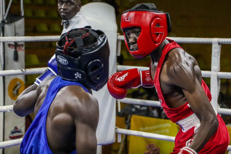 UBF promises championship belts as Boxing Champions League returns
