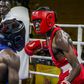 UBF promises championship belts as Boxing Champions League returns