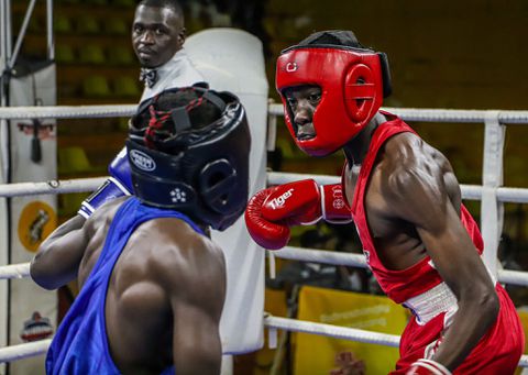 UBF promises championship belts as Boxing Champions League returns