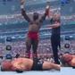 Oba Femi sends Brock Lesnar to retirement in his shock WrestleMania debut