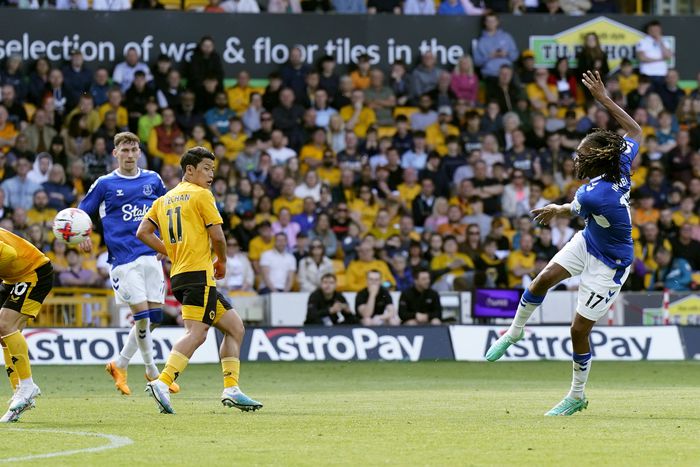 Alex Iwobi played a key role as Everton secured a vital point against Wolves