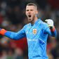 Manchester United's De Gea wins PL Golden Glove after excellent season