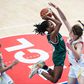 The journey of Nigeria's Junior D'Tigress at the FIBA U19 Women's Basketball World Cup has come to an end after they lost 71-96 in their final classification game.