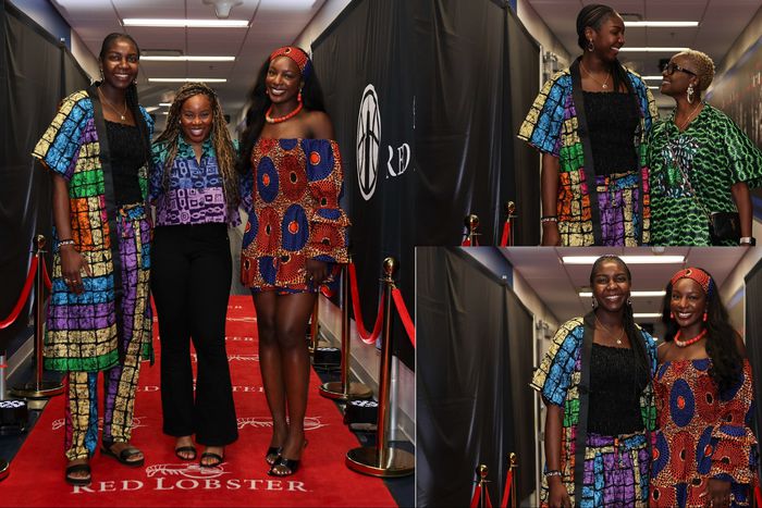 WNBA franchise Chicago Sky celebrate Nigerian Night against Seattle Storm featuring D'Tigress coach Rena Wakama.