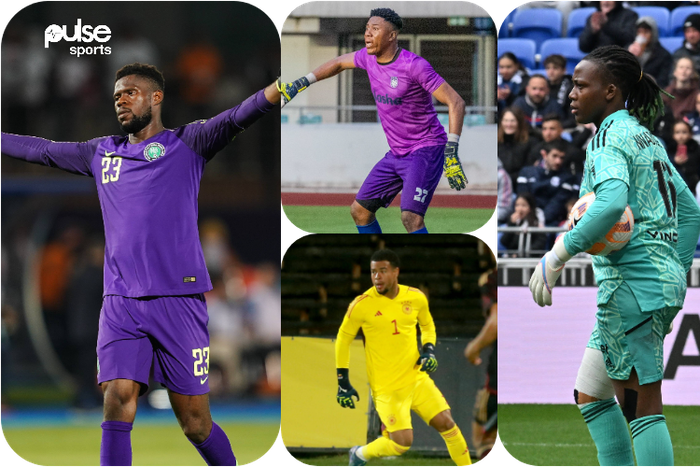 Recommended goalkeepers to replace Francis Uzoho