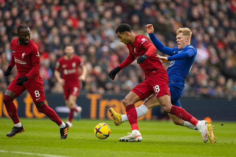 Liverpool signed just Cody Gakpo