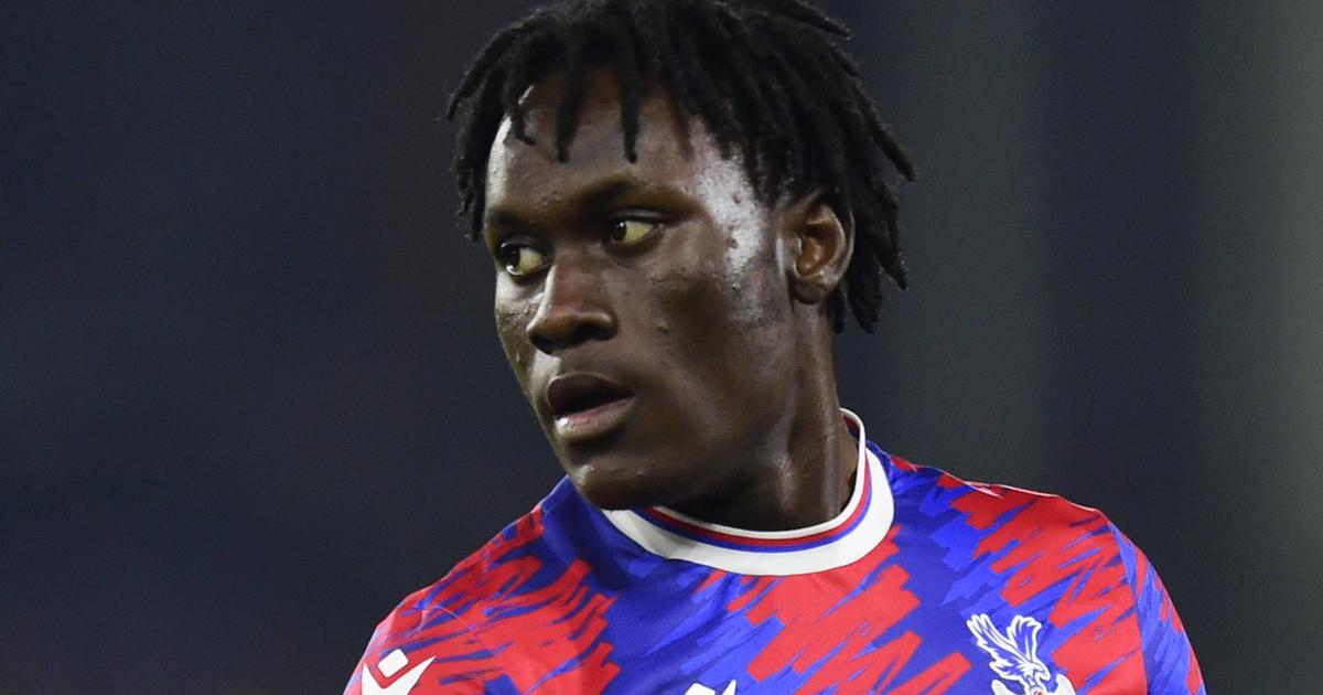 David Ozoh makes premier league history for Crystal Palace | Pulse ...