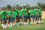 How NFF crises will affect the Super Eagles' quest in AFCON