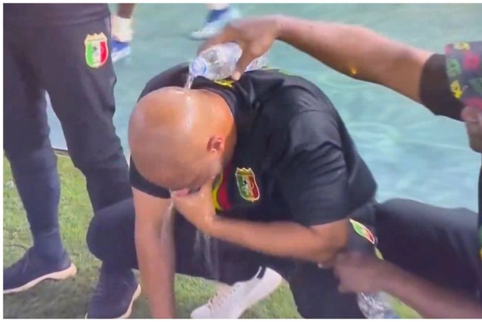 Eric Chelle was named Super Eagles coach after Mali's sack.