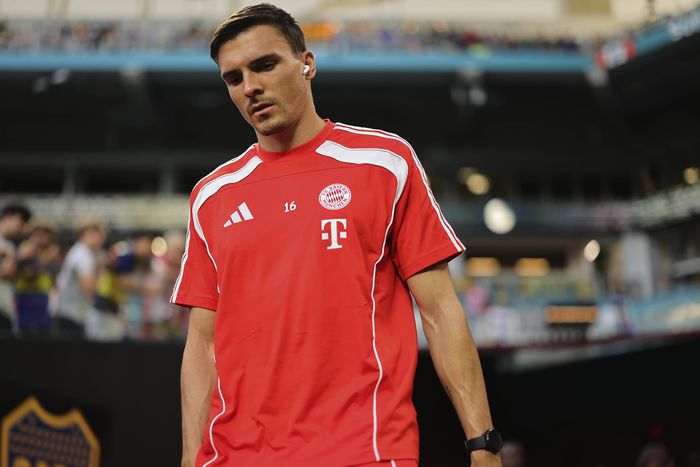 Palhinha at Bayern Munich || imago