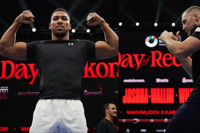 This weekend, British-born boxer of Nigerian descent Anthony Joshua and Otto Wallin will be the main attractions at the heavily stacked "Day of Reckoning" event in Saudi Arabia.