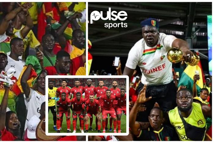 Guinean Fans Die
