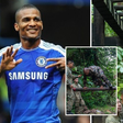 Florent Malouda: From Football to Forests: Ex-Chelsea star joins army 13 years after winning Champions League
