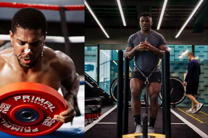 Nigerian boxer Anthony Joshua sends Cameroon MMA star Francis Ngannou a message.