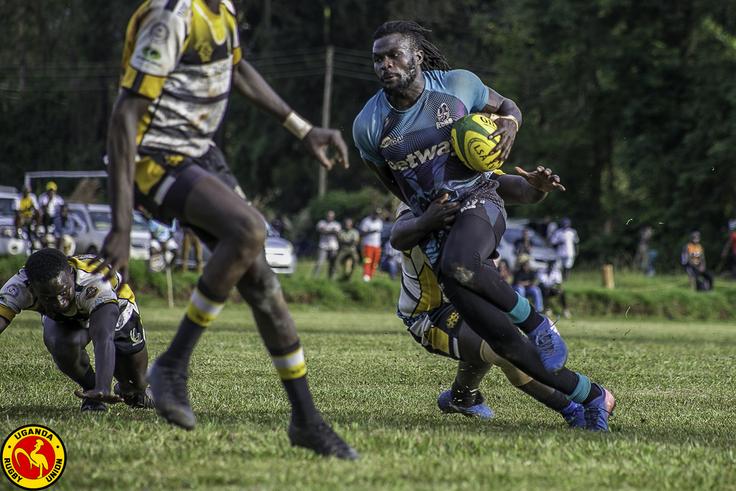 Kobs avoiding title talk as Rhinos knock in the derby