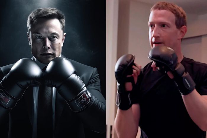 A Musk-versus-Zuckerberg contest would be one of the most fascinating fights ever, regardless of the outcome.