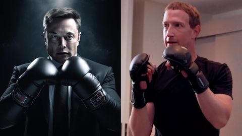 Elon Musk vs Mark Zuckerberg Cage Fight: Know all details here