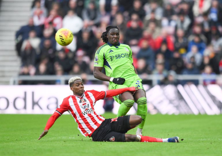 Calvin Bassey impressed on his return to Fulham's starting Xi.