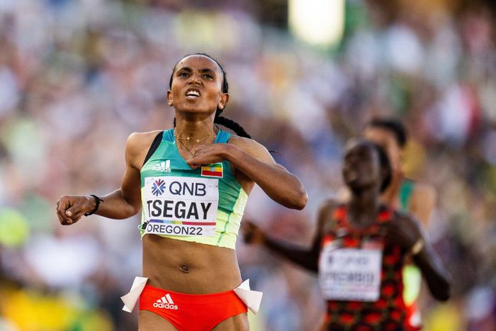 World Indoor Championships