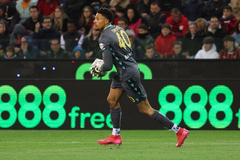 Maduka Okoye in action || Imago