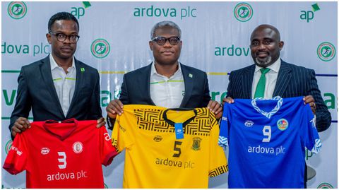 Nigeria's National Handball Premier League get new sponsors