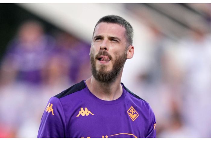 David De Gea faces difficult start to life at Fiorentina