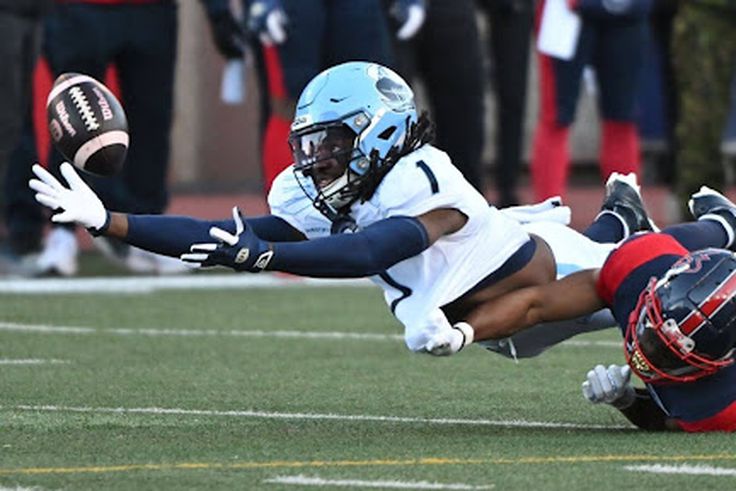 How Tunde Adeleke Burst onto the CFL Scene Amid His Recent Retirement