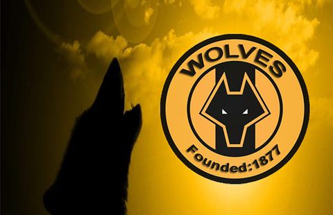 Wolves deny involvement of players in rape allegations
