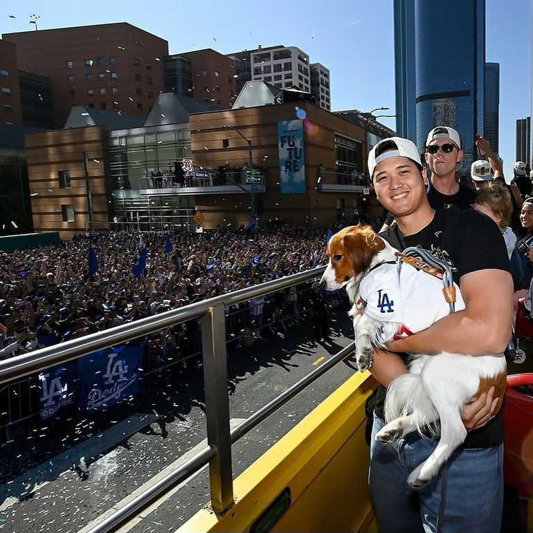 Shohei Ohtani Dog